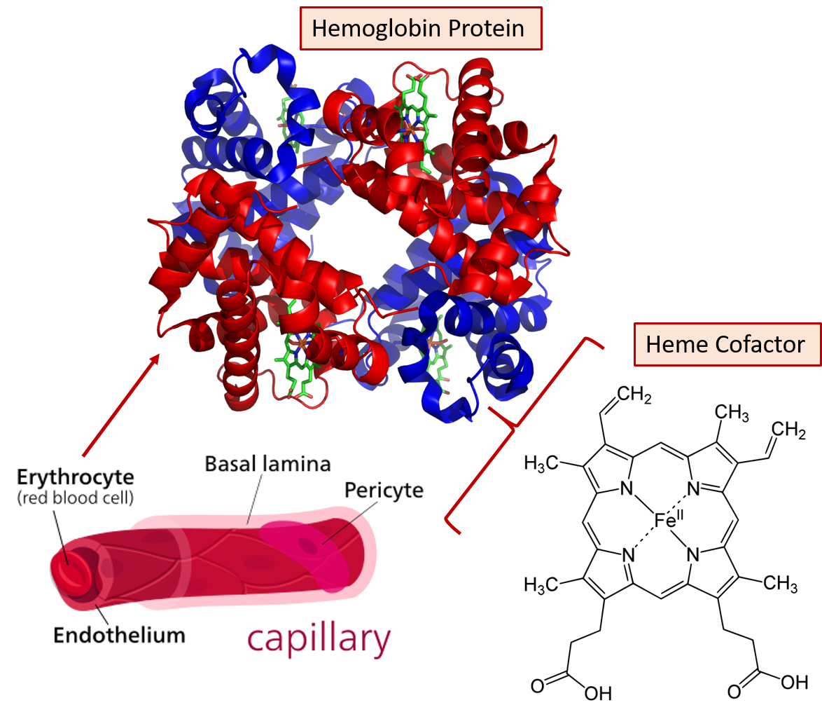 Ch105 Chapter 2 Atoms, Elements and The Periodic Table Chemistry