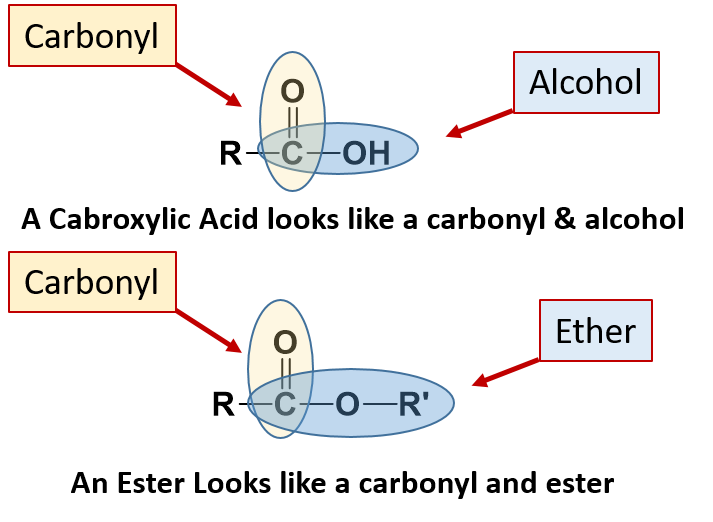 ester functional group