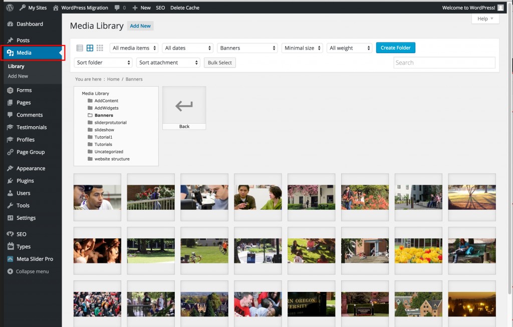 edit the image slideshow wordpress migration website slideshow