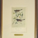 Oregon Snow Bird Plate No. 168