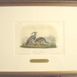 Plumed Partridge Plate No. 291