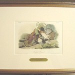 Ruffed Grouse Plate No. 239