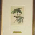 Swamp Sparrow Plate No. 175