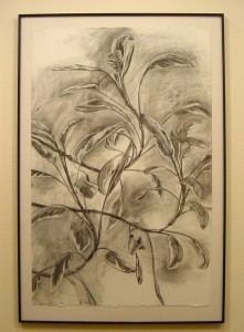johnson-sage