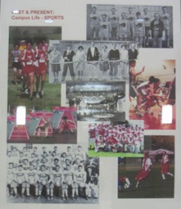 Sports