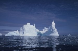 Iceburgs