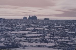 Pack ice at twilight