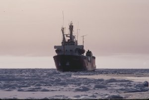 The Polar Duke