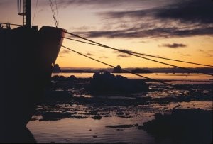 antarctic64-300