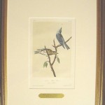 Arctic Blue Bird Plate No. 136