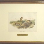Jumping Mouse Plate No. LXXXV