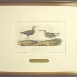Long – Legged Sandpiper Plate No. 334