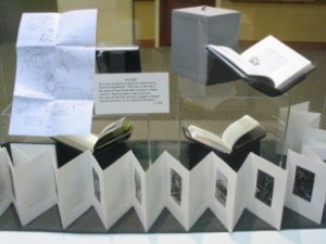 Rodrick Haig Brown limited edition journals on loan by Richard Bunsee