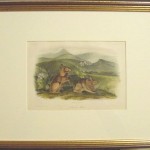 Nuttall’s Hare Plate No. XCIV