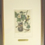 Baltimore Oriole or Hang – Nest Plate No. 217