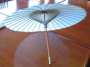 Plain white paper umbrellas were available at the Library for a $6.00 fee to cover the cost of the umbrella.
