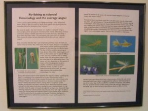Fly fishing as science