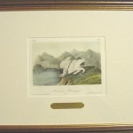 American Ptarmigan Plate No. 300
