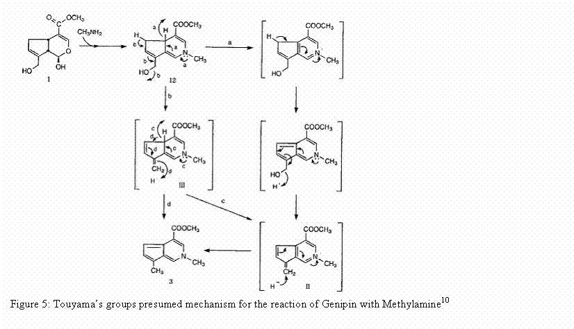 Text Box:  
Figure 5: Touyamas groups presumed mechanism for the reaction of Genipin with Methylamine10
